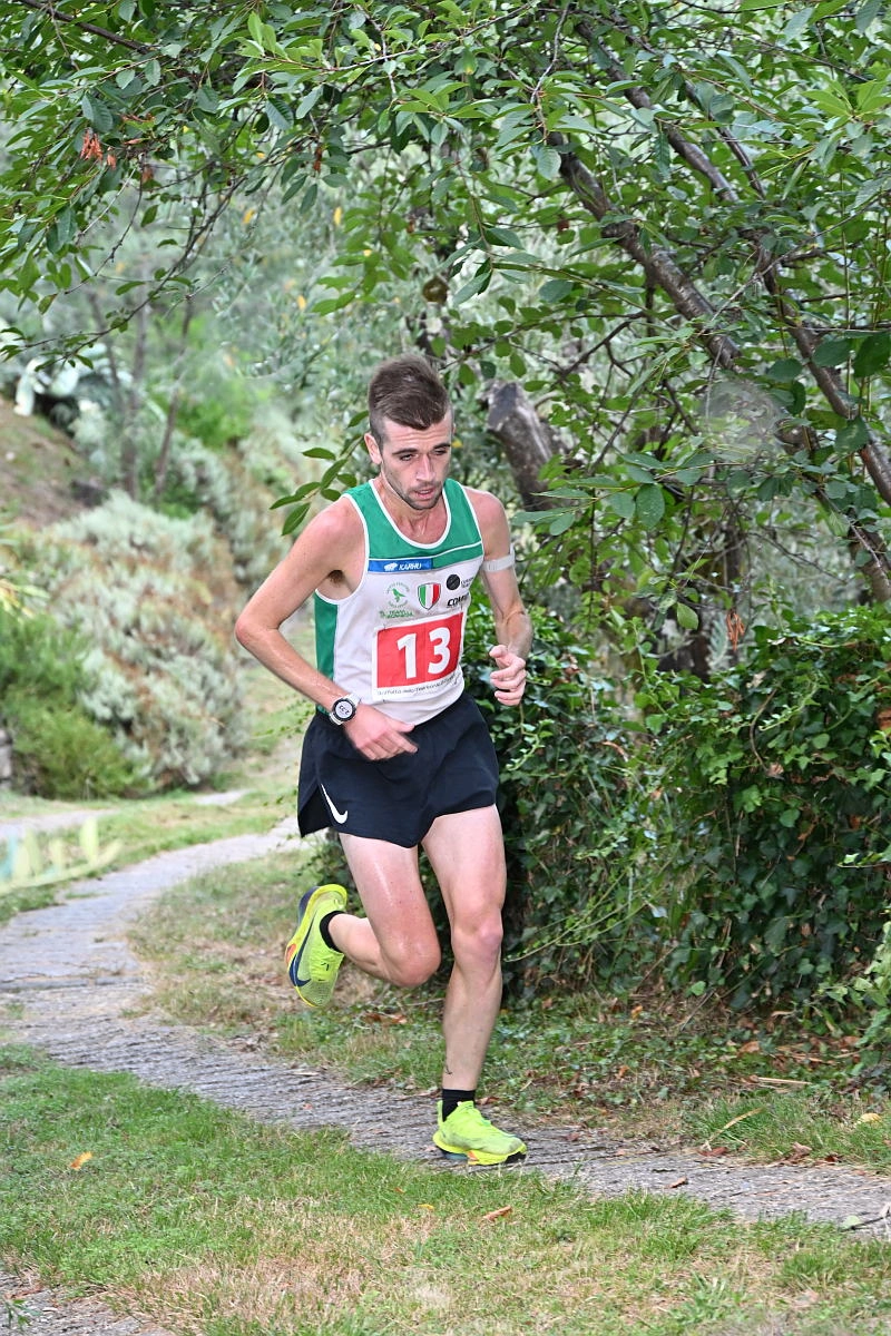 immagine di sfondo 11
