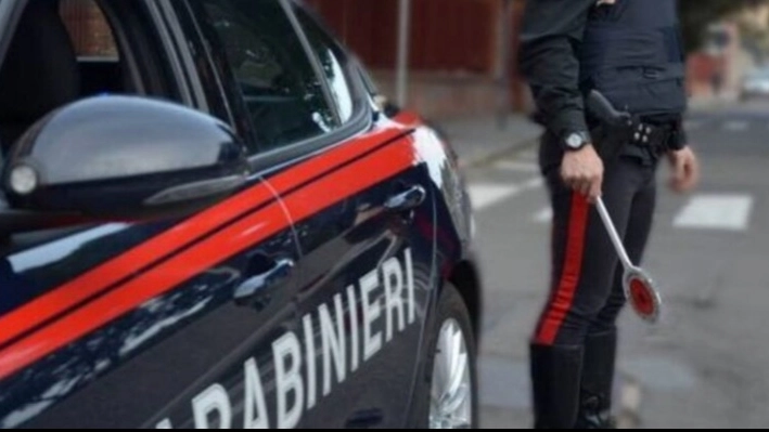 Carabinieri (immagine di repertorio Ansa) Carabinieri (immagine di repertorio Ansa)