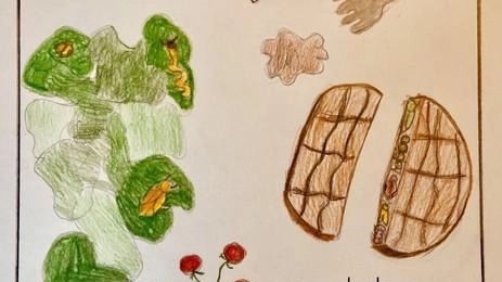 Cultura della tavola Cultura della tavola