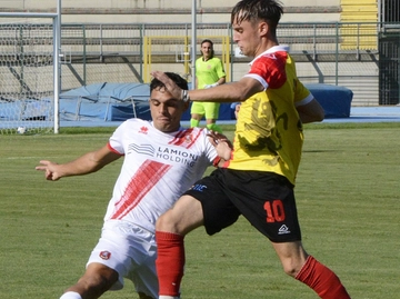 immagine articolo