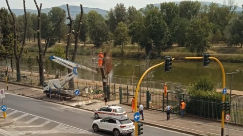 Il taglio degli alberi a Bellariva in una foto comparsa sulla pagina Abusivismo e Degrado Firenze Il taglio degli alberi a Bellariva in una foto comparsa sulla pagina Abusivismo e Degrado Firenze