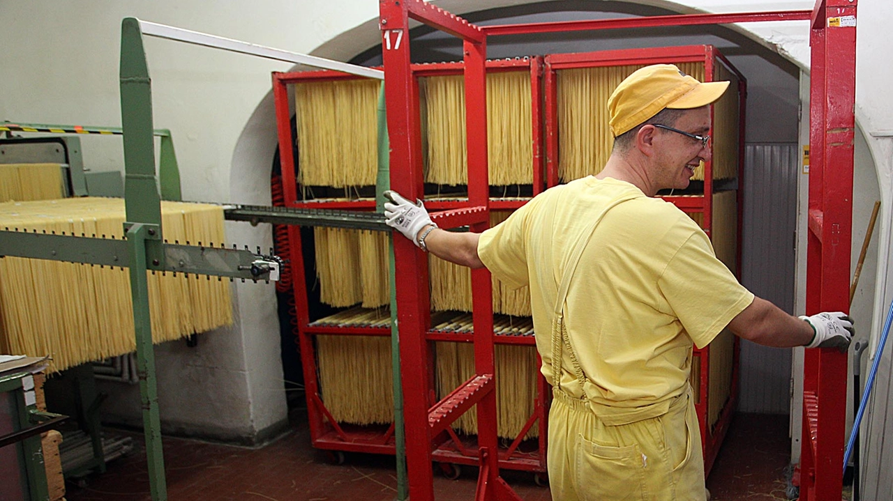 Il pastificio Martelli di Lari Il pastificio Martelli di Lari