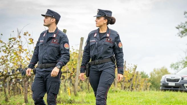 L’Arma dei Carabinieri ha previsto l’assunzione di un numero significativo di giovani che andranno a rafforzare l’organico dell’Istituzione, contribuendo alla sicurezza... L’Arma dei Carabinieri ha previsto l’assunzione di un numero significativo di giovani che andranno a rafforzare l’organico dell’Istituzione, contribuendo alla sicurezza...