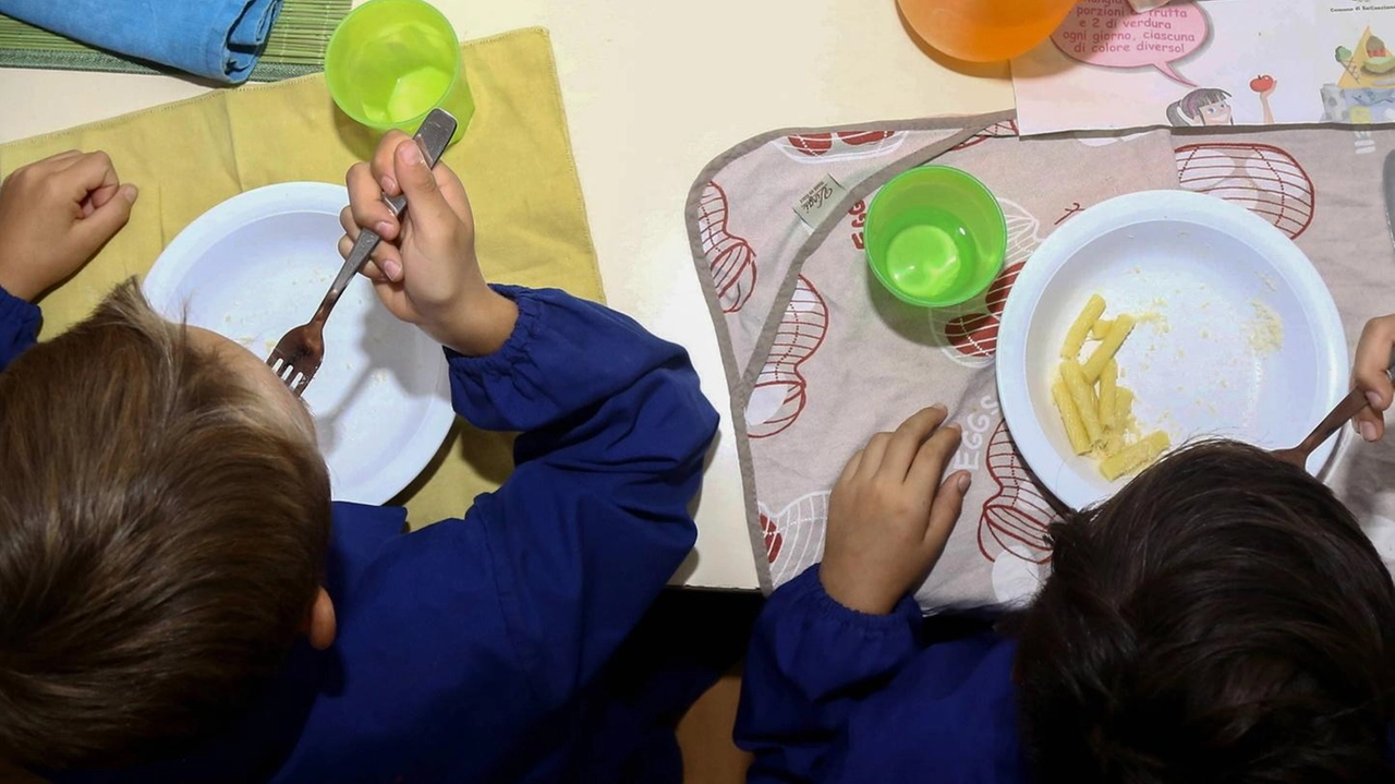 Controlli alla ditta che fornisce i pasti per la scuola primaria Alberto Manzi Controlli alla ditta che fornisce i pasti per la scuola primaria Alberto Manzi