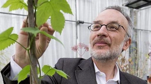 Stefano Mancuso, docente universitario a Firenze,, neuroscienziato, scrittore e direttore del Laboratorio internazionale di Neurobiologia vegetale Stefano Mancuso, docente universitario a Firenze,, neuroscienziato, scrittore e direttore del Laboratorio internazionale di Neurobiologia vegetale