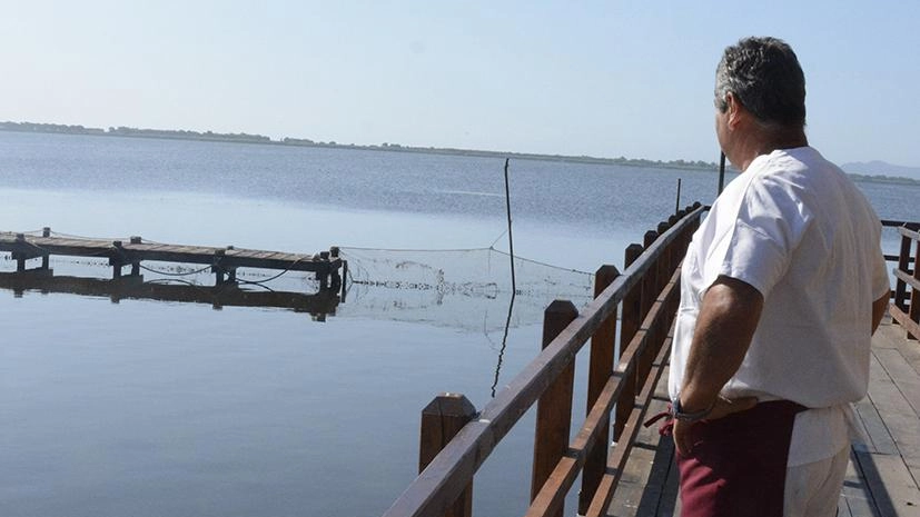 La giunta toscana approva criteri per i risarcimenti ai pescatori danneggiati dalla siccità a Orbetello. Contributi fino a 450mila euro per il concessionario Orbetello Pesca lagunare. Impegno della Regione per la qualità ambientale e dei prodotti alimentari. La giunta toscana approva criteri per i risarcimenti ai pescatori danneggiati dalla siccità a Orbetello. Contributi fino a 450mila euro per il concessionario Orbetello Pesca lagunare. Impegno della Regione per la qualità ambientale e dei prodotti alimentari.