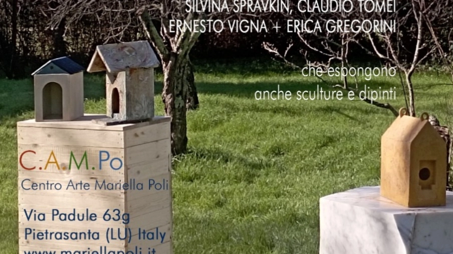 Pietrasanta, nasce il Bird Hotel: l’albergo per gli uccellini con casette artistiche