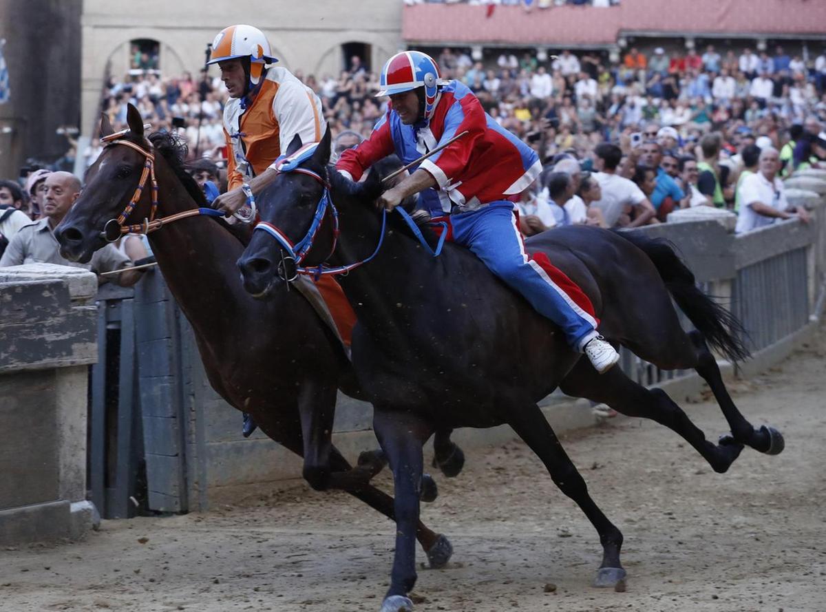 Velluto, un Palio da protagonista: "Se non potevo montare Benitos mi sarebbe piaciuto Viso d’angelo" Velluto, un Palio da protagonista: "Se non potevo montare Benitos mi sarebbe piaciuto Viso d’angelo"