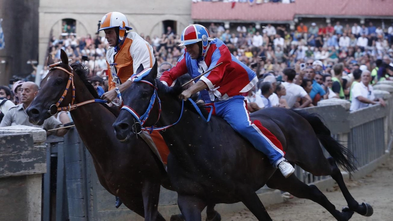 Sulla mossa è equilibrista: "Alla fine sono partito fra i primi. Qualcuno la pensa in un modo, chi in un altro. Il mio cavallo era più svelto di Diosu dell’Aquila per cui ero abbastanza convinto di poter andare davanti".