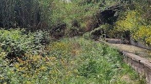 Orvieto, la denuncia di una residente in zona Orvieto, la denuncia di una residente in zona