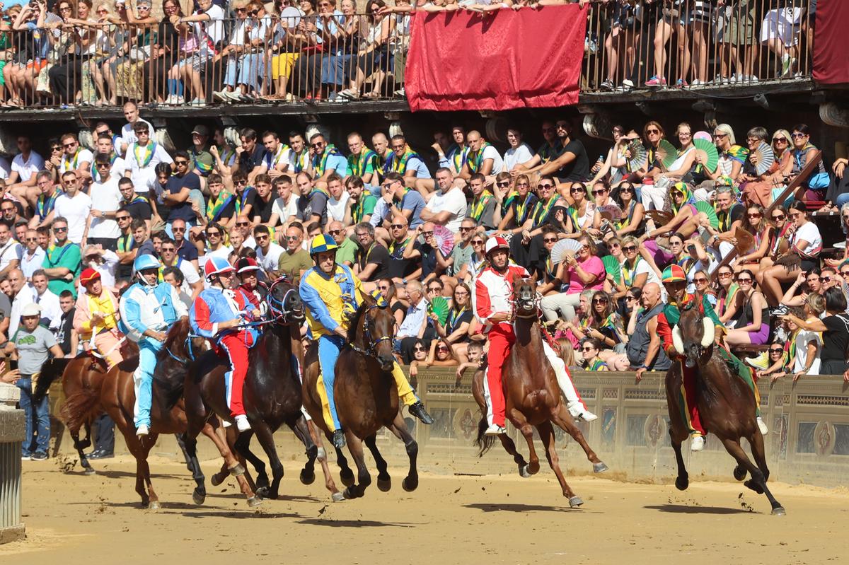 siena il bruco vince la quarta prova del palio