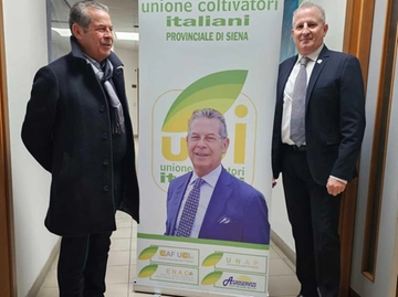 immagine articolo