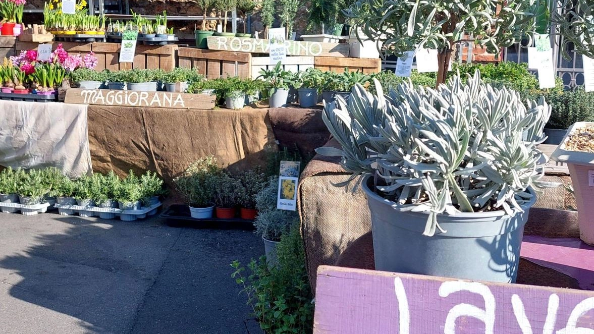 Bando per assegnazione posteggi a commercianti e produttori agricoli alla fiera di San Biagio. Requisiti, modalità di partecipazione e scadenze. Contributo richiesto. Info su sito del Comune. Bando per assegnazione posteggi a commercianti e produttori agricoli alla fiera di San Biagio. Requisiti, modalità di partecipazione e scadenze. Contributo richiesto. Info su sito del Comune.