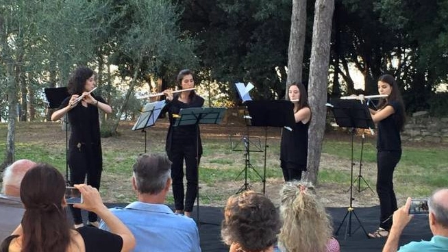flute flute