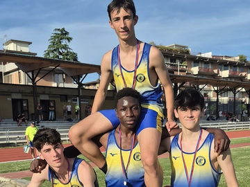 immagine articolo