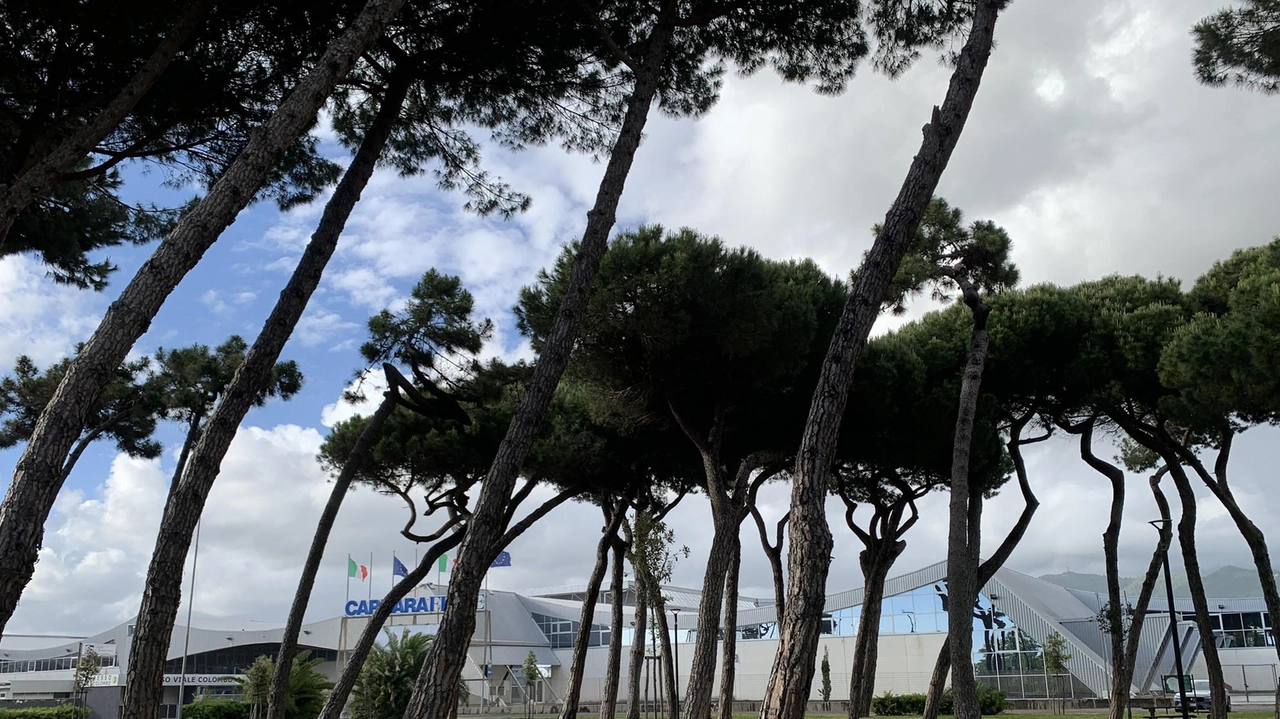 La pineta di Imm sarà dotata di bagni e attrezzi per lo sport all’aperto La pineta di Imm sarà dotata di bagni e attrezzi per lo sport all’aperto