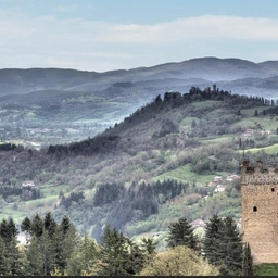 Al via il progetto MEC - Musei ed Ecomusei del Casentino