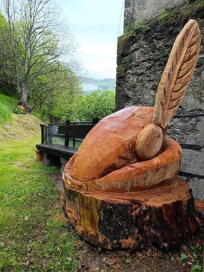dal museo all albero della pace un sentiero pieno di solidarietà
