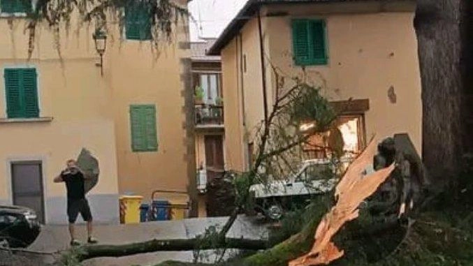 Il crollo di un ramo del cedro secolare che giovedì scorso ha danneggiato in modo lieve un’automobile: è uno degli alberi più cari ai borghigiani Il crollo di un ramo del cedro secolare che giovedì scorso ha danneggiato in modo lieve un’automobile: è uno degli alberi più cari ai borghigiani