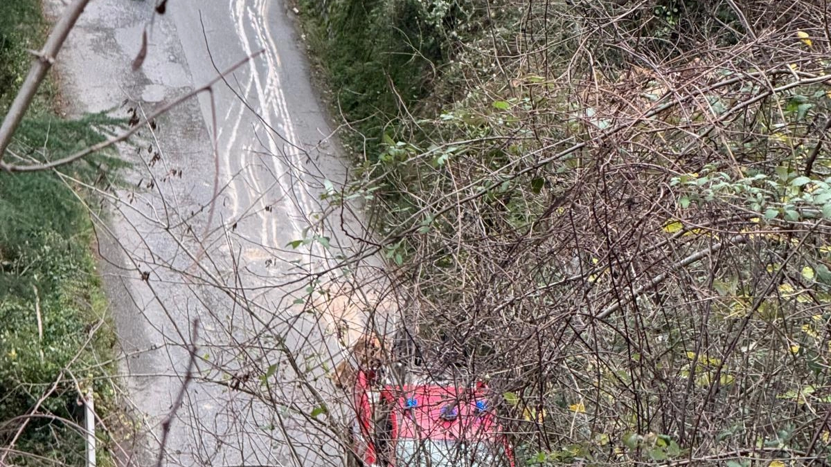La strada fa paura. Un masso di notevole dimensioni è precipitato sulla carreggiata della via comunale che porta alle frazioni... La strada fa paura. Un masso di notevole dimensioni è precipitato sulla carreggiata della via comunale che porta alle frazioni...