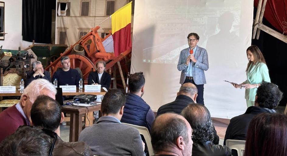 Cortona, è partito il monitoraggio della mosca olearia Cortona, è partito il monitoraggio della mosca olearia