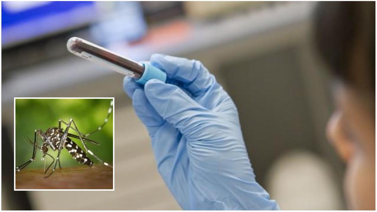 West Nile, primo caso in Umbria: scatta il monitoraggio