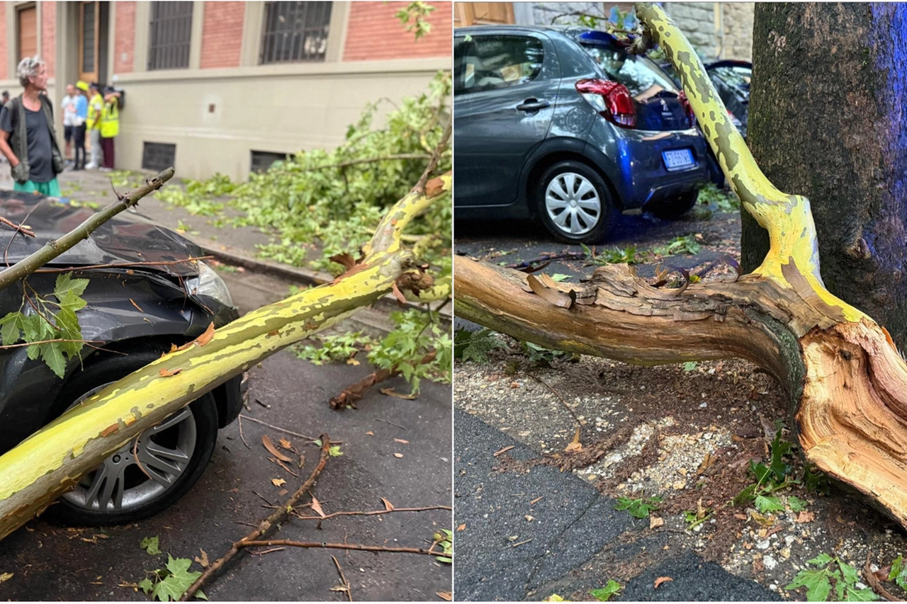 Alberi caduti e auto danneggiate a Firenze