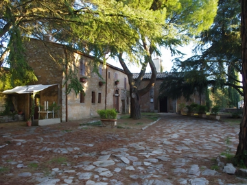 immagine articolo