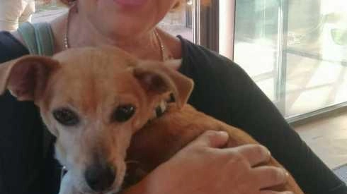 Nel libro di Maria Grazia Piastri parla la cagnolina . Storia di riscatto e speranza non solo a 4 zampe . Nel libro di Maria Grazia Piastri parla la cagnolina . Storia di riscatto e speranza non solo a 4 zampe .
