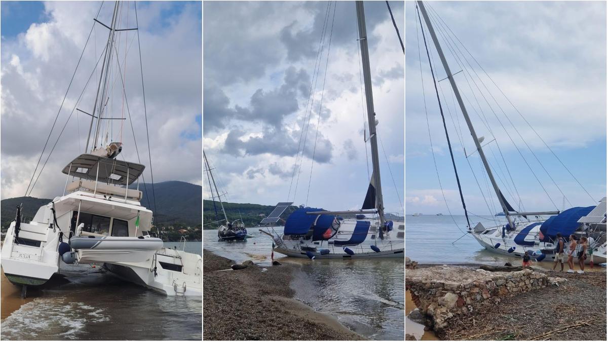 https://www.lanazione.it/image-service/view/acePublic/alias/contentid/YzMxOGIxOTgtYjY5ZS00/1/il-catamarano-incagliato-sulla-spiaggia-di-campo-allaia-a-procchio-numerose-le-emergenze-per-imbarcazioni-alla-deriva-nella-fascia-nord-e-nord-ovest-dell-elba.jpeg?f=1.91:1&w=1200