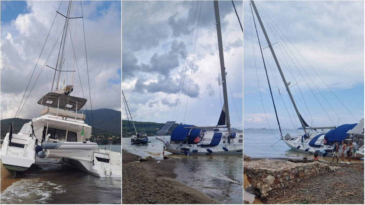 Il catamarano incagliato sulla spiaggia di Campo all’Aia a Procchio. Numerose le emergenze per imbarcazioni alla deriva nella fascia nord e nord-ovest dell'Elba