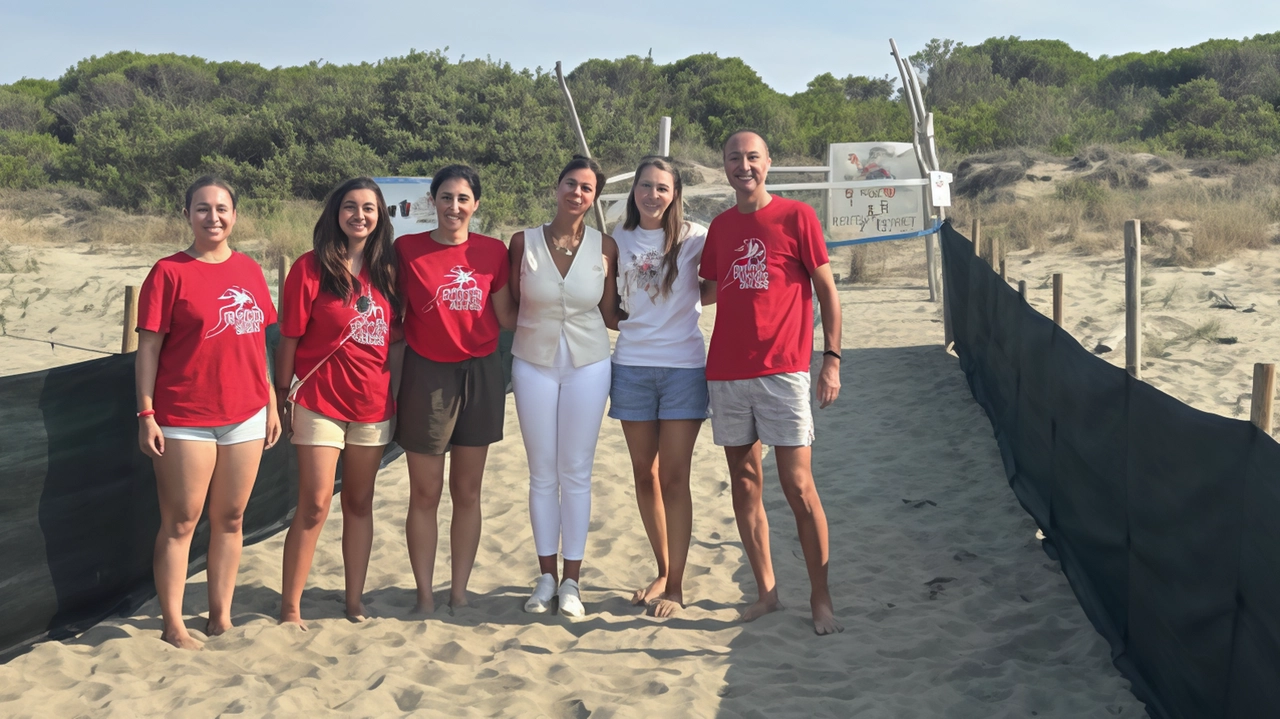 Il corridoio realizzato sulla spiaggia delle Marze per proteggere le tartarughine Il corridoio realizzato sulla spiaggia delle Marze per proteggere le tartarughine