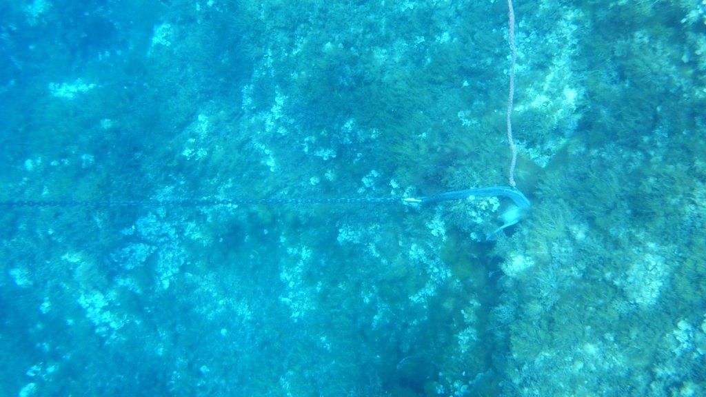 Un'ancora sul fondale a Punta Secca