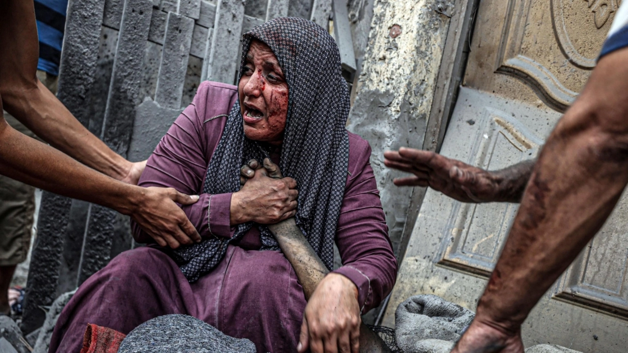 'Irreplaceable' (Insostituibile), la foto che ha vinto il Siena international photo awards 2024