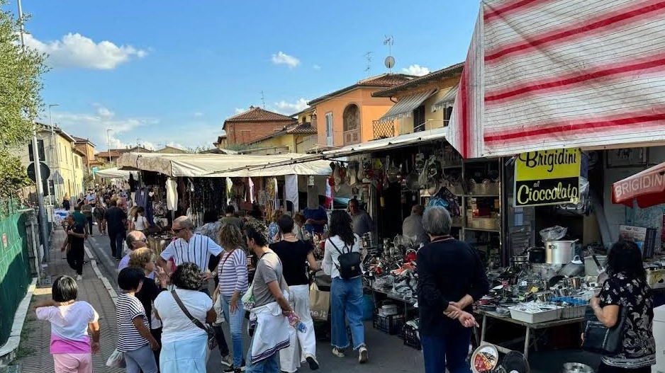Come già anticipato da La Nazione, la Fiera al Piano a Torrita di Siena (20-21 settembre) avrà un nuovo assetto.... Come già anticipato da La Nazione, la Fiera al Piano a Torrita di Siena (20-21 settembre) avrà un nuovo assetto....