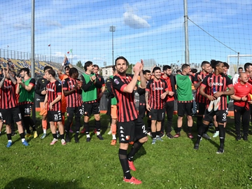 immagine articolo
