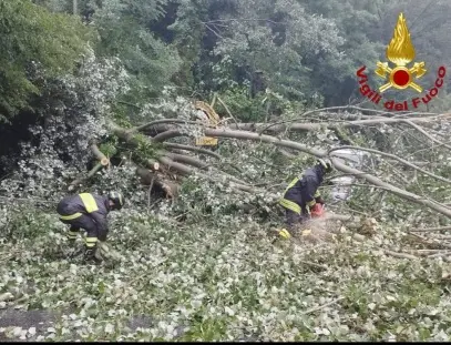 Pioggia e vento nel ternano: albero si schianta sopra un'auto in Valnerina