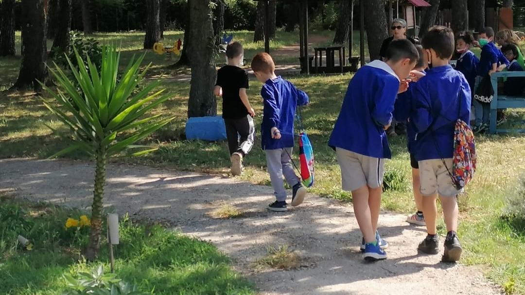 Quel parco simbolo di riscatto. L’esperienza dell’Araba Fenice festeggia vent’anni di speranze