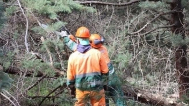 L'amministratore di Afor Umbria, Manuel Maraghelli, fa il punto sulle assunzioni e il ricambio generazionale nell'agenzia forestale. L'assessore Morroni sottolinea l'importanza del contratto integrativo regionale per elevare la professionalità dei lavoratori. L'amministratore di Afor Umbria, Manuel Maraghelli, fa il punto sulle assunzioni e il ricambio generazionale nell'agenzia forestale. L'assessore Morroni sottolinea l'importanza del contratto integrativo regionale per elevare la professionalità dei lavoratori.