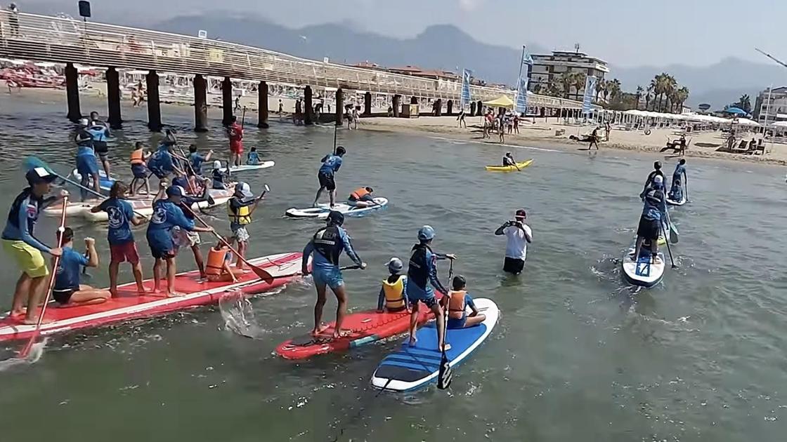 https://www.lanazione.it/image-service/view/acePublic/alias/contentid/YzQ4OWEyOWYtNzNmYi00/0/torna-lido-wave-tra-ospiti-e-novita.jpeg?f=16:9&w=1200&h=630