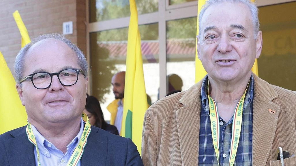 Tutte le associazioni di categoria commentano negativamente la conferma dei dazi sul vino al 15% verso gli Usa. Ma ad... Tutte le associazioni di categoria commentano negativamente la conferma dei dazi sul vino al 15% verso gli Usa. Ma ad...