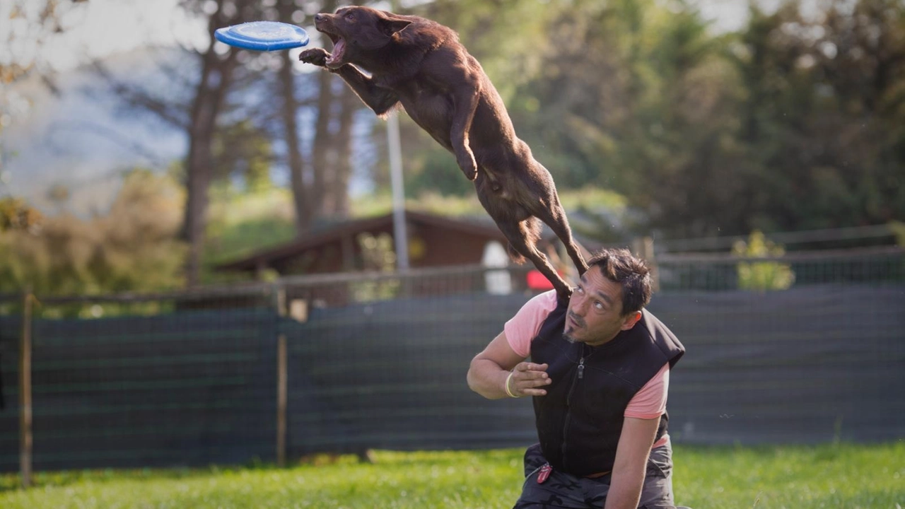 Il dottor Francesco Bardi è specializzato anche nella disciplina del “disc dog“ e promuove. il dog trekking collettivo Il dottor Francesco Bardi è specializzato anche nella disciplina del “disc dog“ e promuove. il dog trekking collettivo