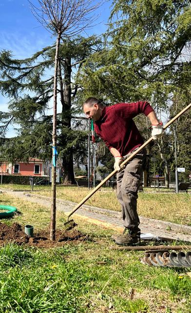 un albero da piantare per ogni nuovo nato