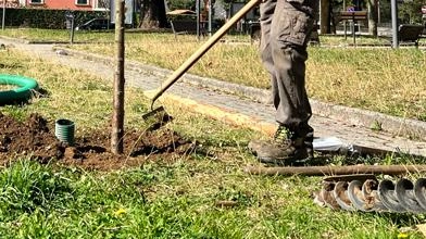 Si chiama “Un albero per ogni nuovo bimbo o bimba” ed è la nuova edizione dell’iniziativa del Consorzio di Bonifica... Si chiama “Un albero per ogni nuovo bimbo o bimba” ed è la nuova edizione dell’iniziativa del Consorzio di Bonifica...