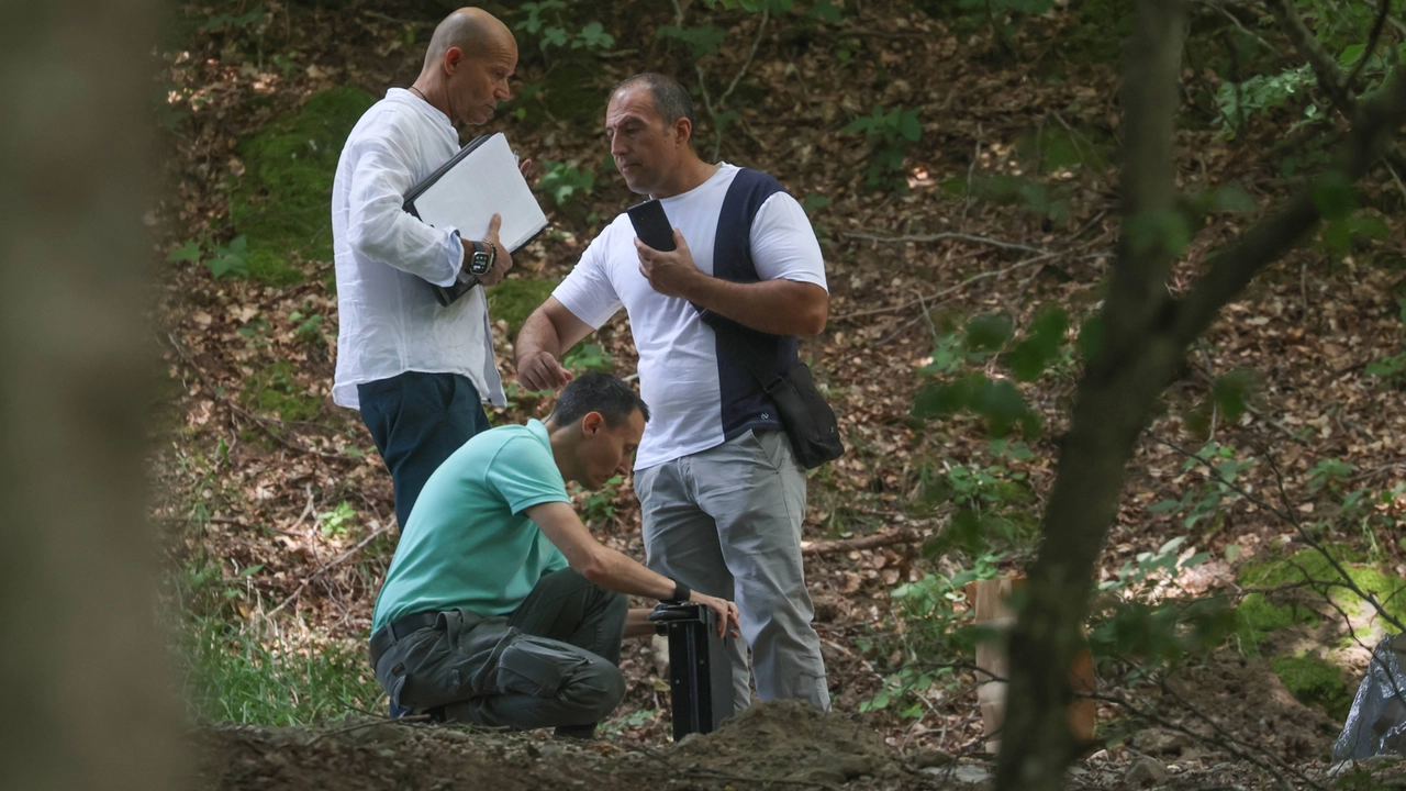 Il corpo trovato all’alba. Uccisa con una pietra o da un camion. I due misteri custoditi dal bosco