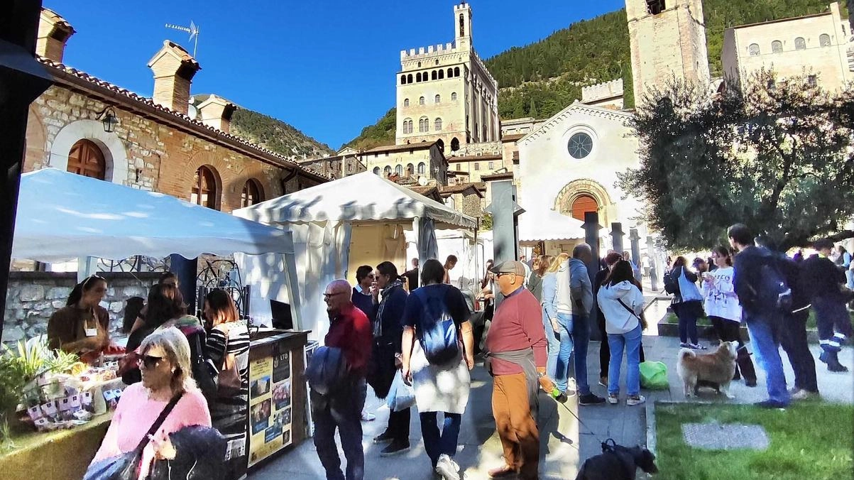Gli stand in piazza San Giovanni e, in basso, l’evento agli Arconi Gli stand in piazza San Giovanni e, in basso, l’evento agli Arconi