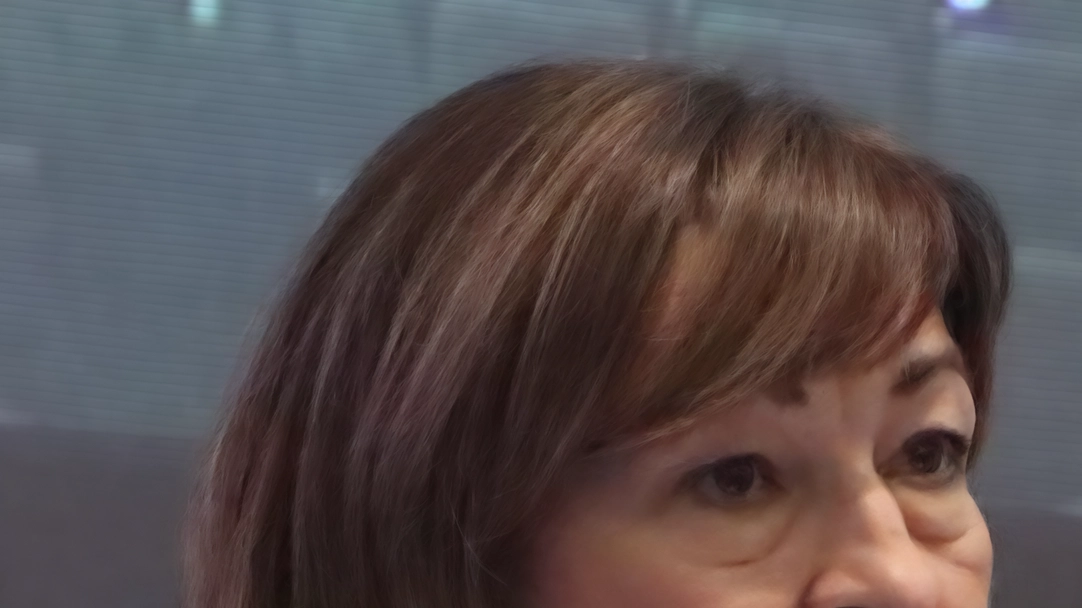 Donatella Tesei, ex presidente della Giunta regionale e portavoce del centrodestra in Consiglio Donatella Tesei, ex presidente della Giunta regionale e portavoce del centrodestra in Consiglio