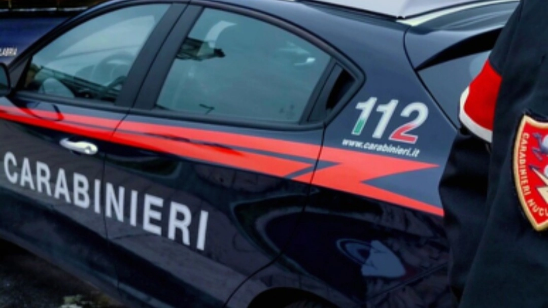 Carabinieri (immagine di repertorio) Carabinieri (immagine di repertorio)