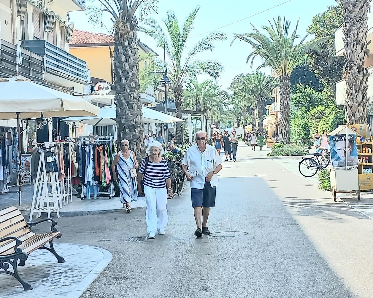 "Scusi, un’informazione". E le prende l’orologio. Scippo in pieno giorno ai danni di un’anziana "Scusi, un’informazione". E le prende l’orologio. Scippo in pieno giorno ai danni di un’anziana