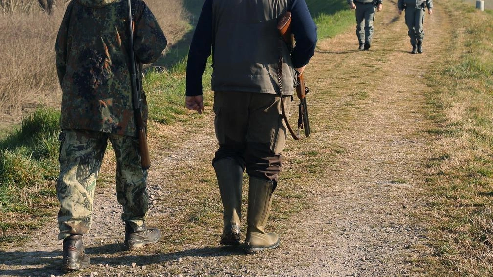 Le squadre di cacciatori con i cani potranno andare in cerca dei cinghiali Le squadre di cacciatori con i cani potranno andare in cerca dei cinghiali